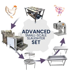 Sets