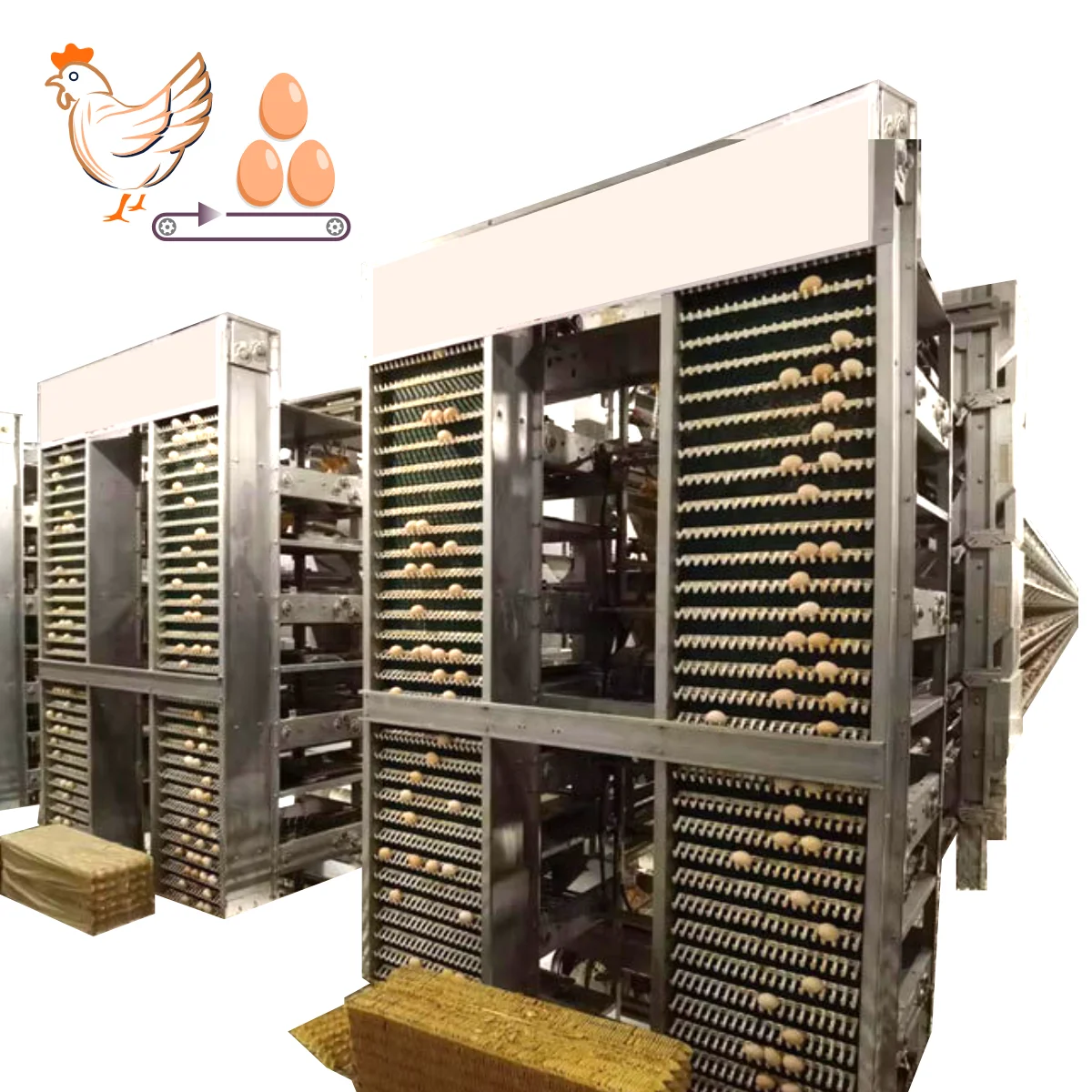 Laying hen cages with multiple rows of chicken eggs