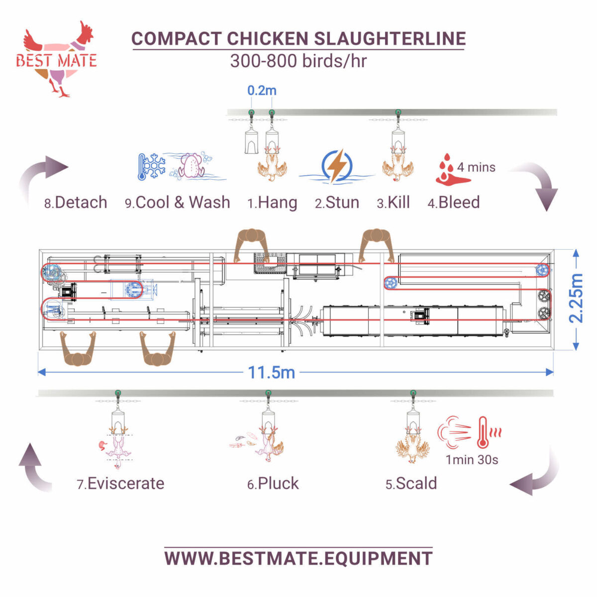 Compact poultry abattoir Layout plan