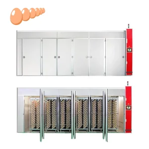 Single-stage incubator equipment