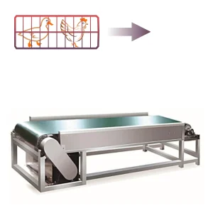 motorised roller belt conveyor
