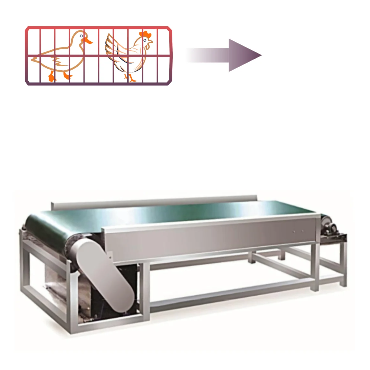 motorised roller belt conveyor