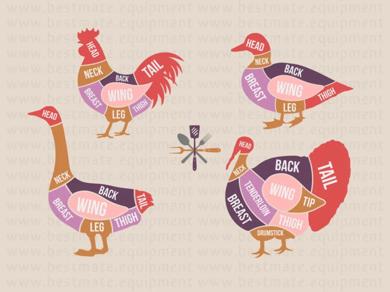 poultry meat cuts portioning